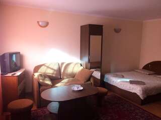 Апартаменты Alex & Черновцы Cемейный номер с собственной ванной комнатой-3