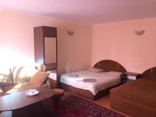 Апартаменты Alex & Черновцы Cемейный номер с собственной ванной комнатой-4