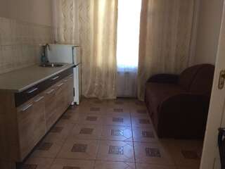 Апартаменты Alex & Черновцы Апартаменты с 2 спальнями-2