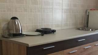 Апартаменты Alex & Черновцы Апартаменты с 2 спальнями-3